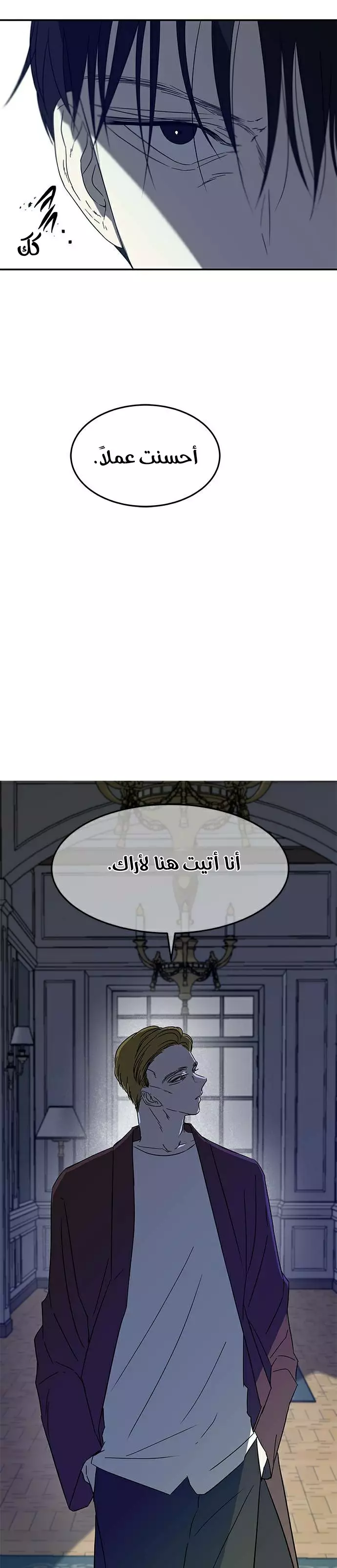 الصفحة 29