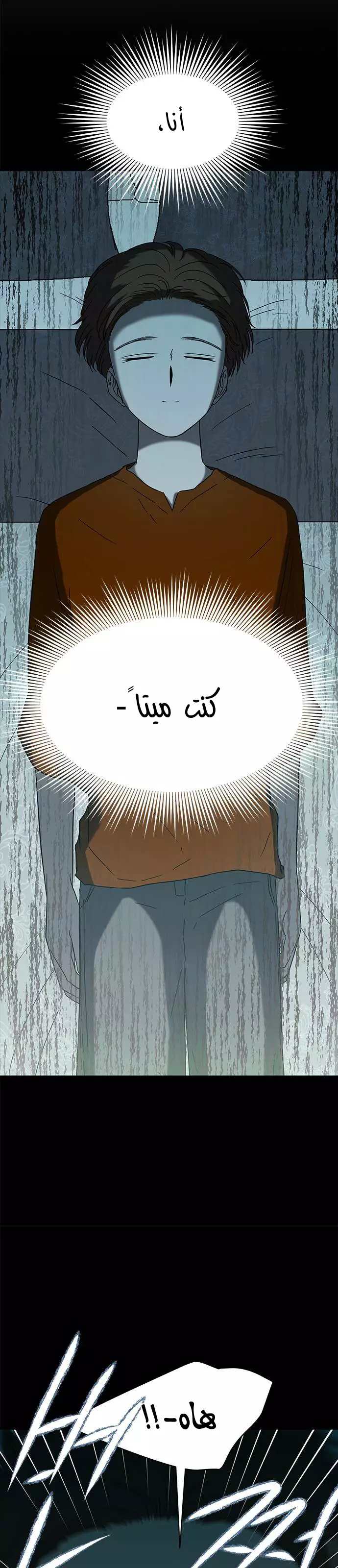 الصفحة 20