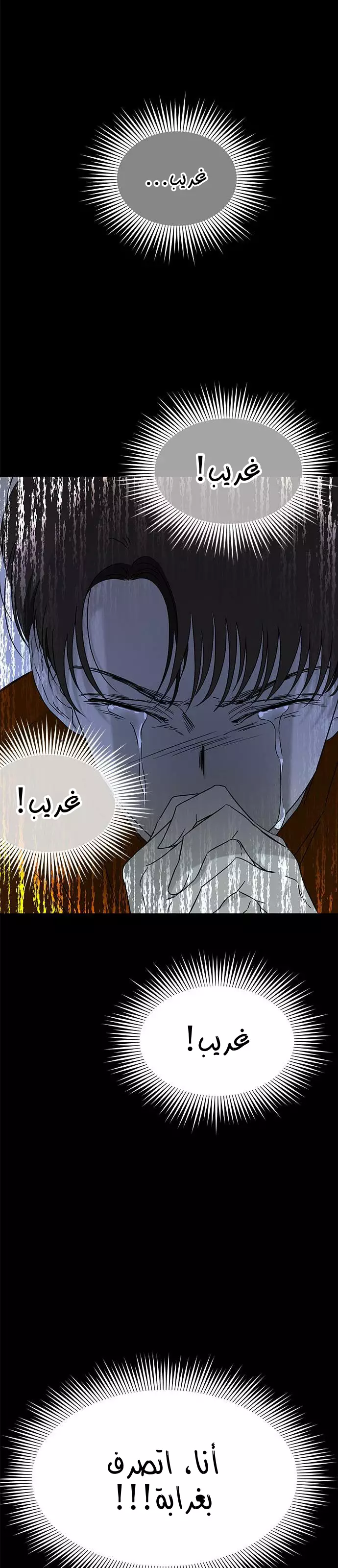 الصفحة 29