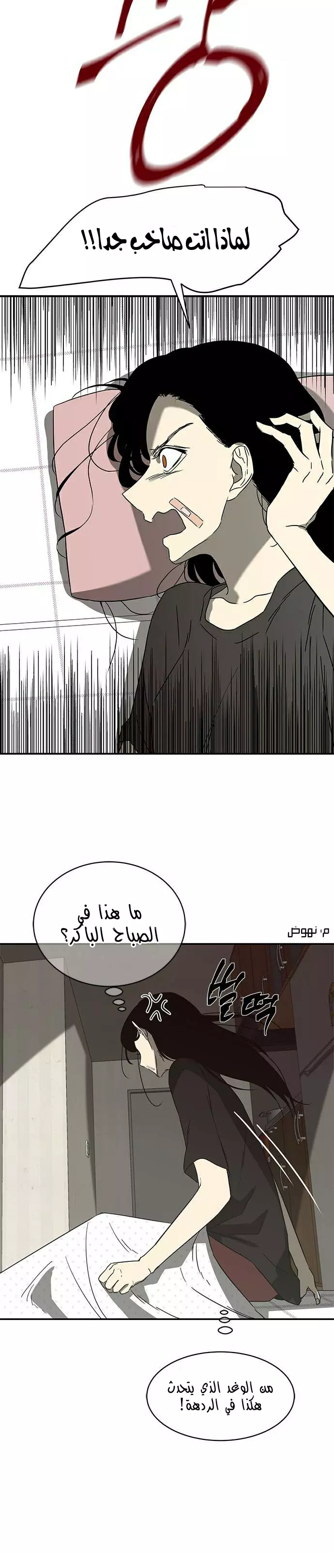 الصفحة 38