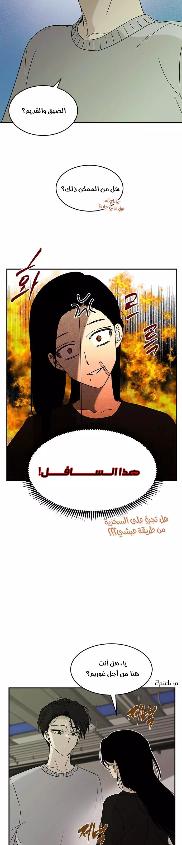 الصفحة 5