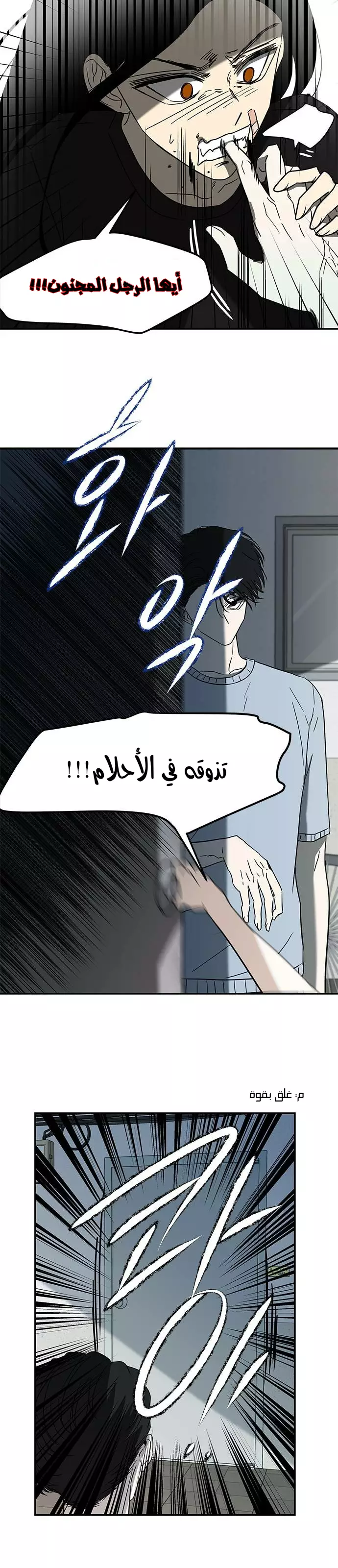 الصفحة 11