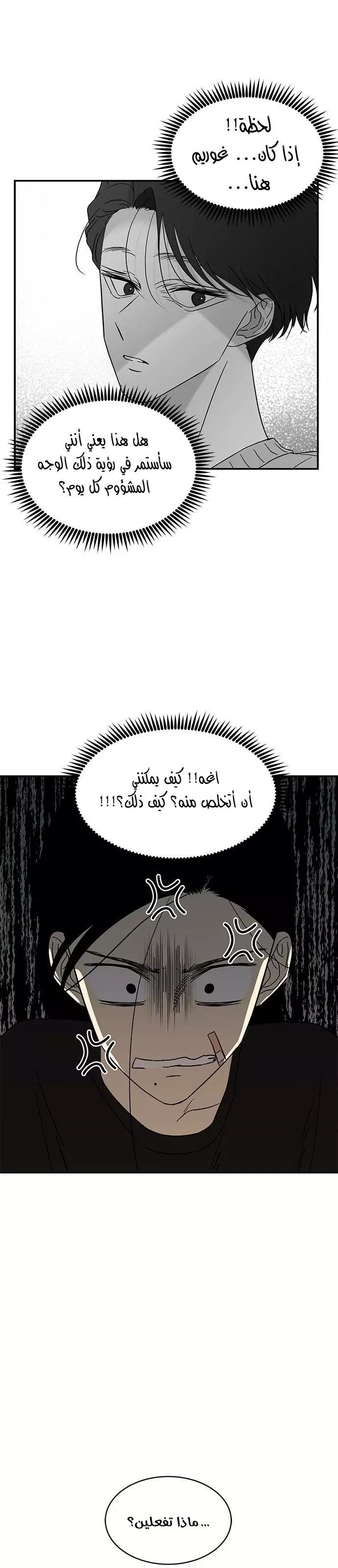 الصفحة 13