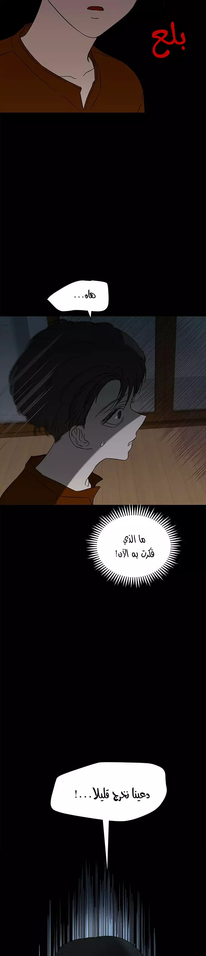 الصفحة 19