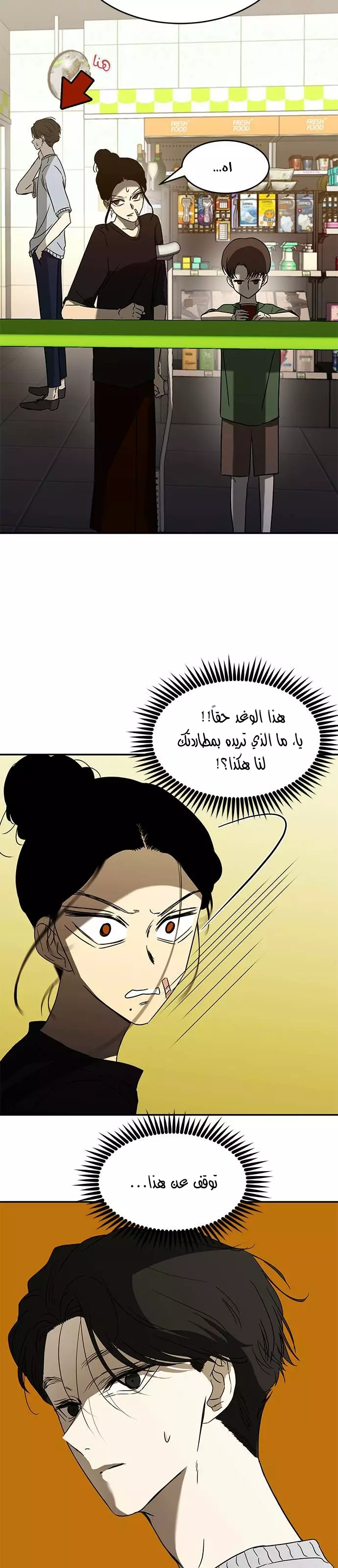 الصفحة 21