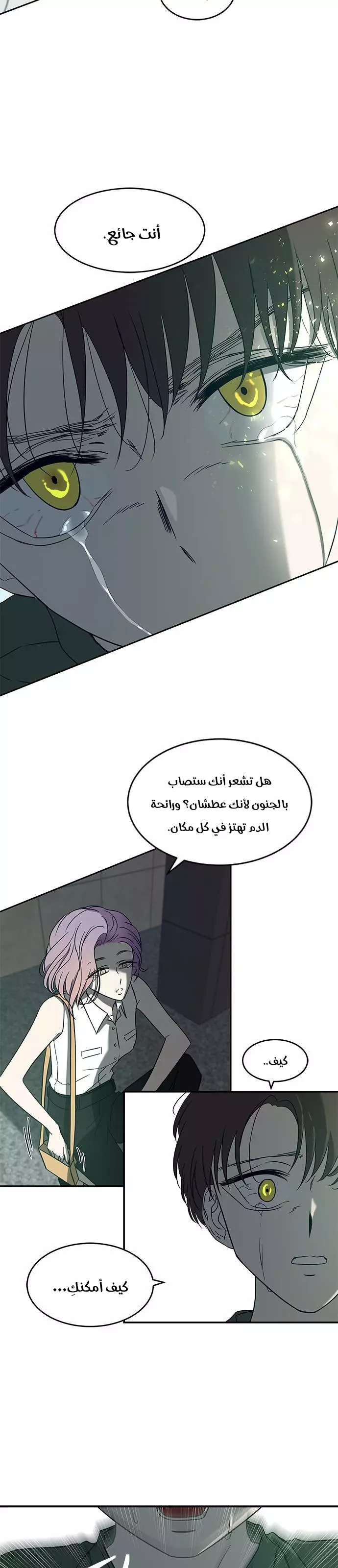 الصفحة 14