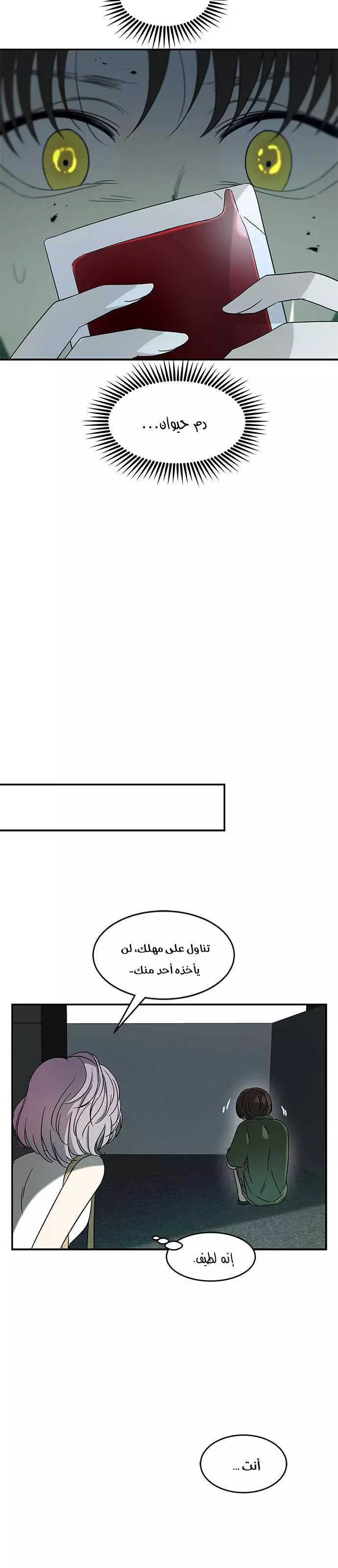 الصفحة 16