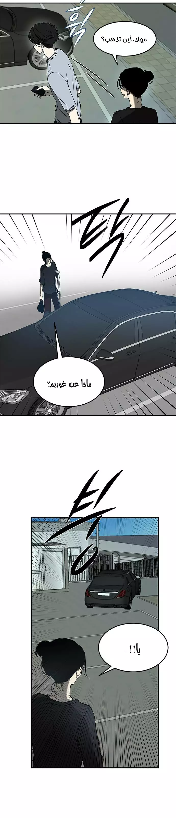 الصفحة 25