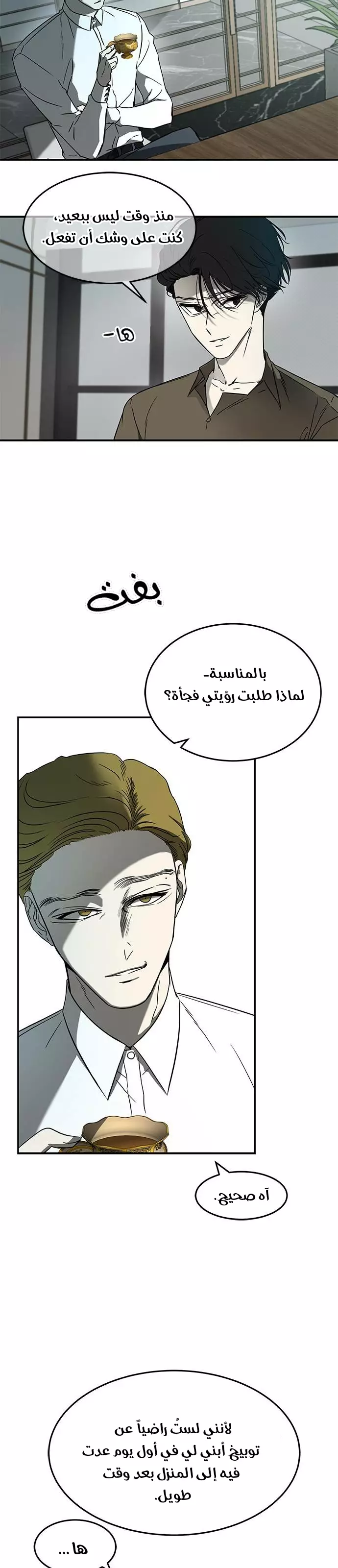 الصفحة 13