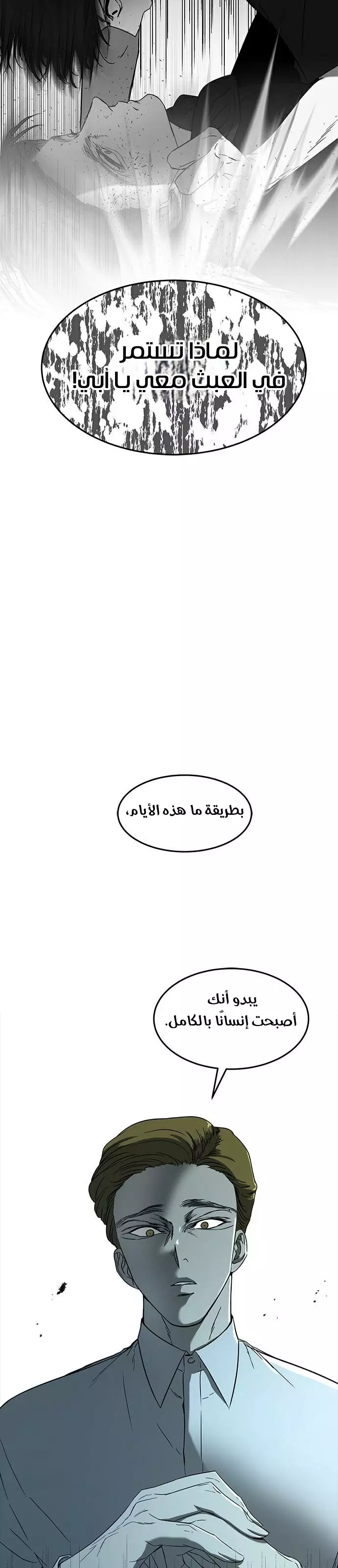 الصفحة 17