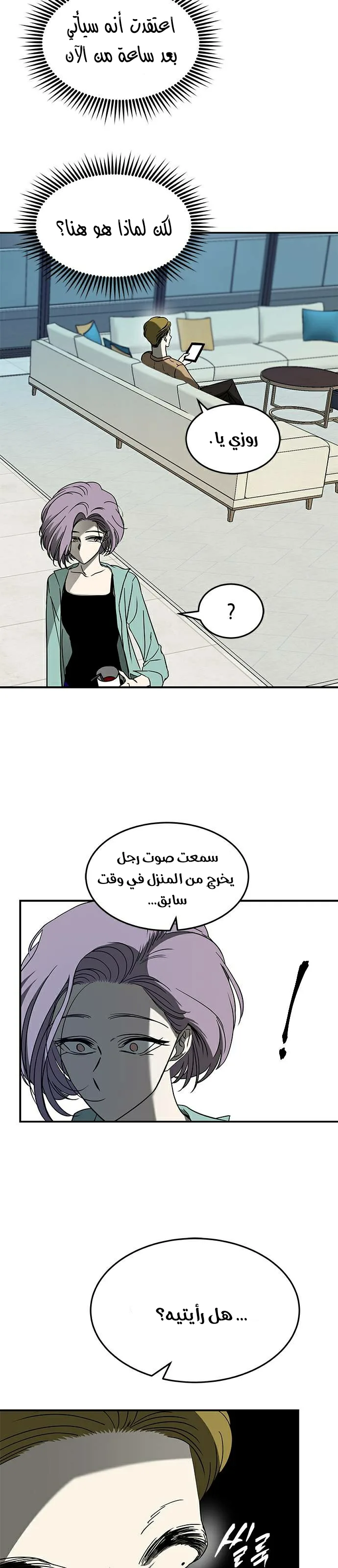 الصفحة 13