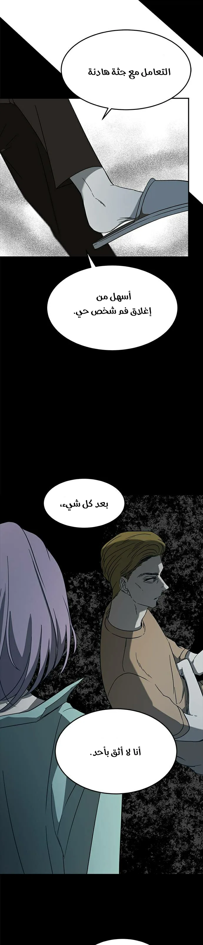 الصفحة 17