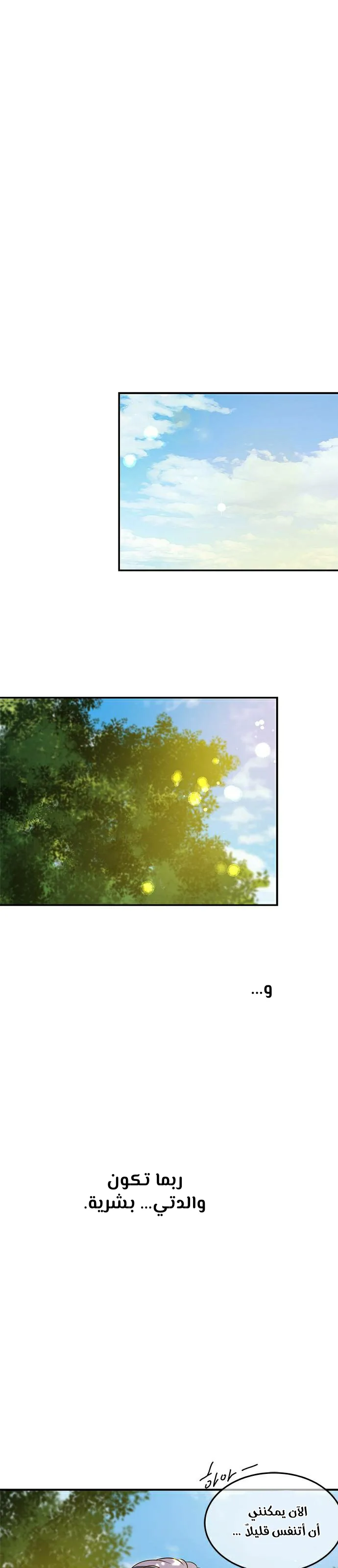 الصفحة 26