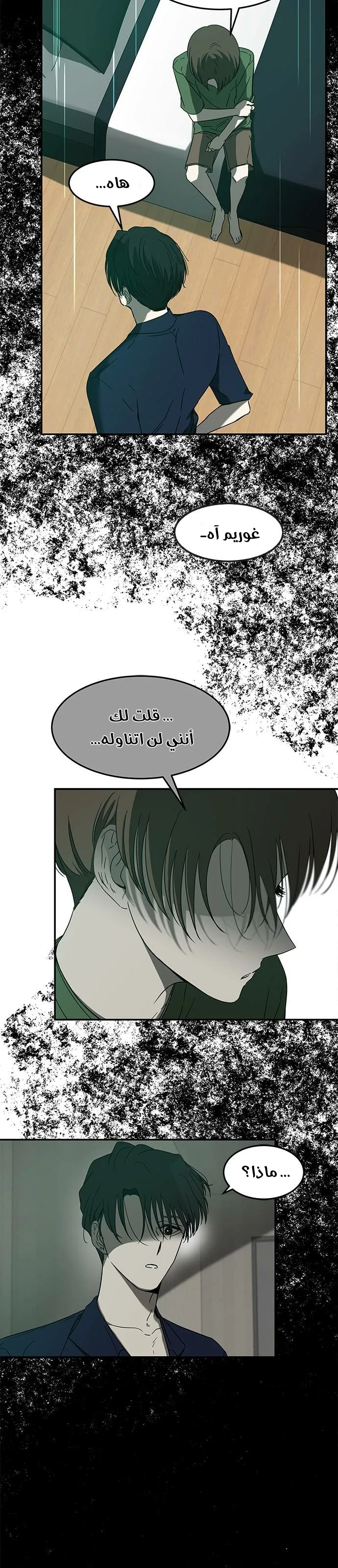 الصفحة 17
