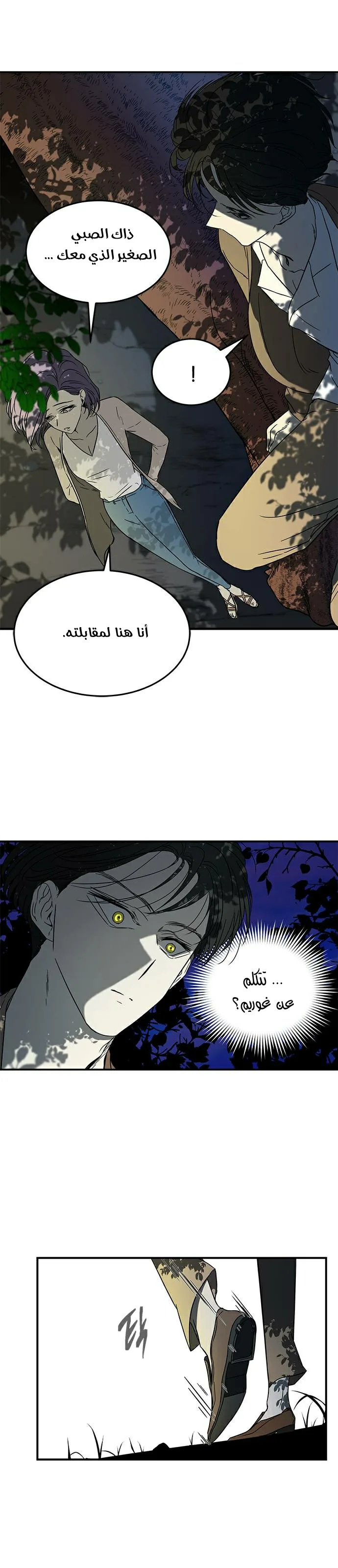 الصفحة 13