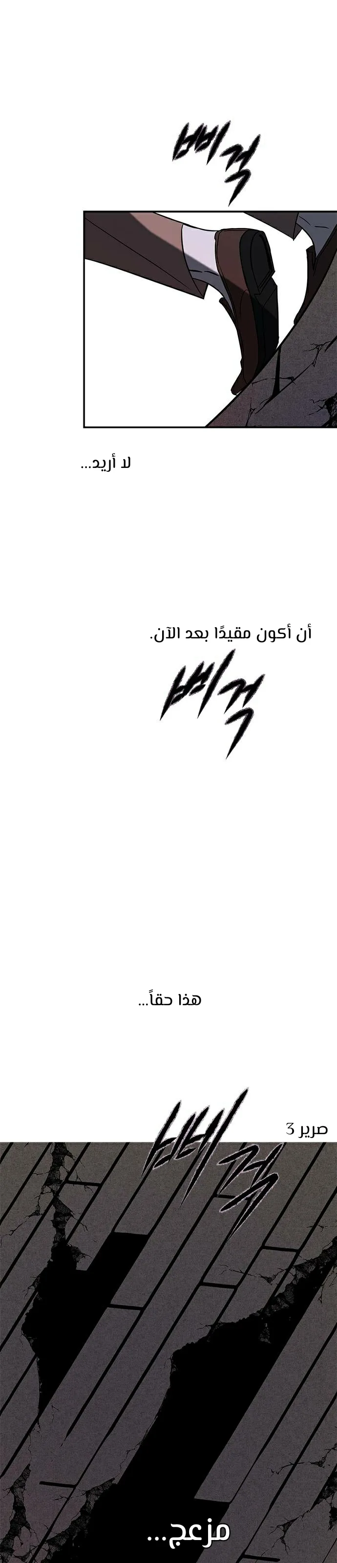 الصفحة 29