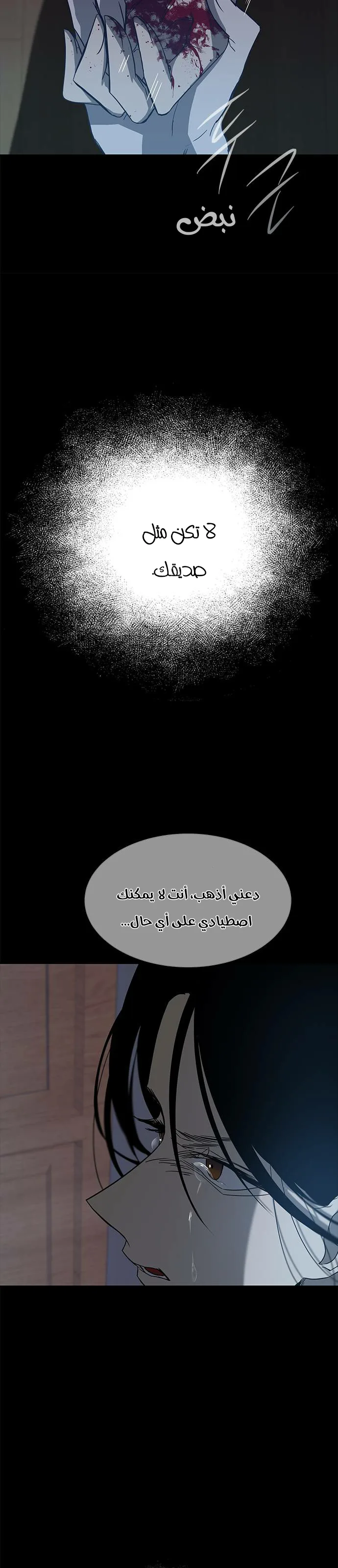 الصفحة 41