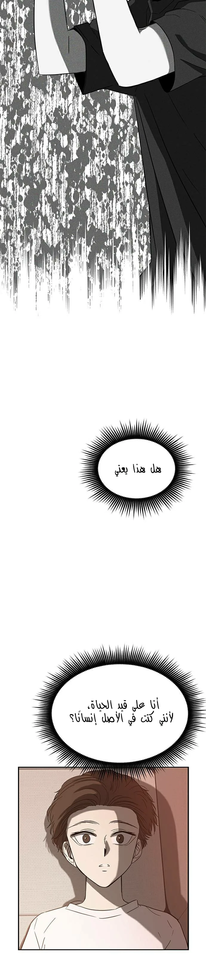 الصفحة 20