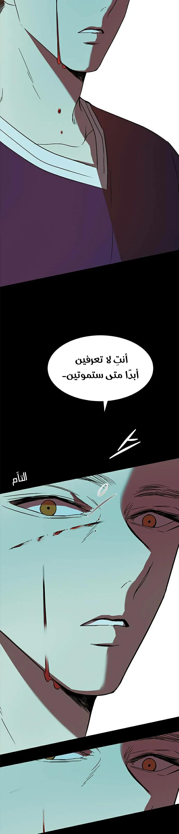 الصفحة 41