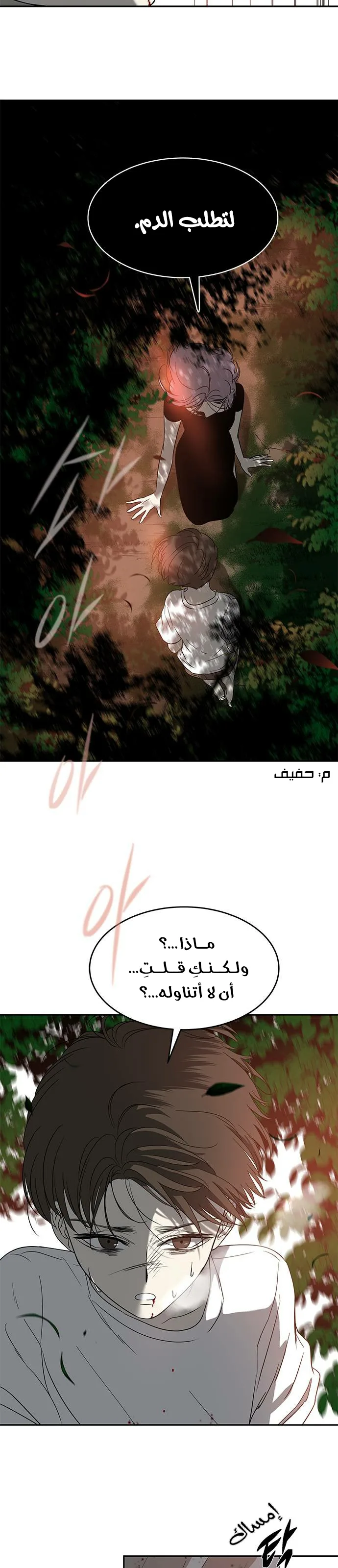 الصفحة 13