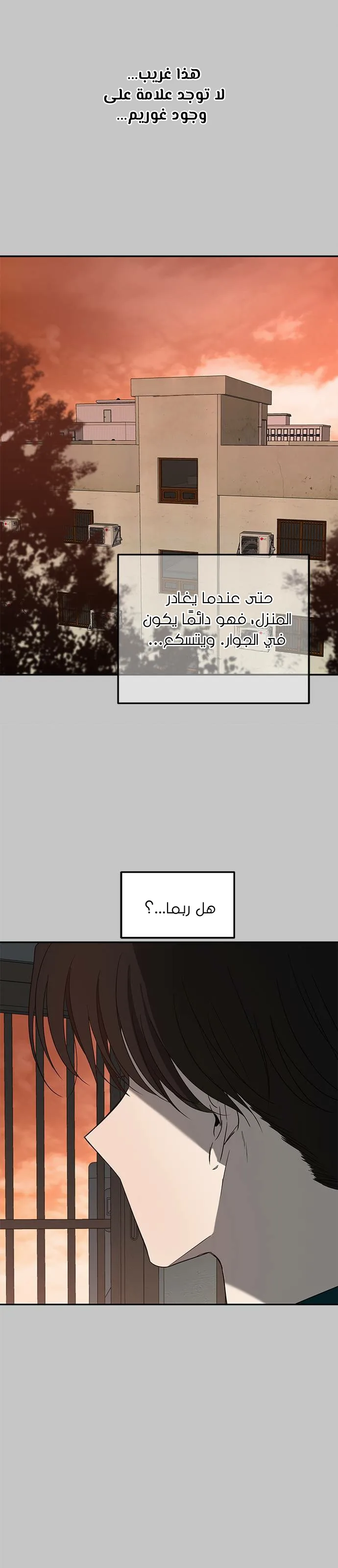 الصفحة 17