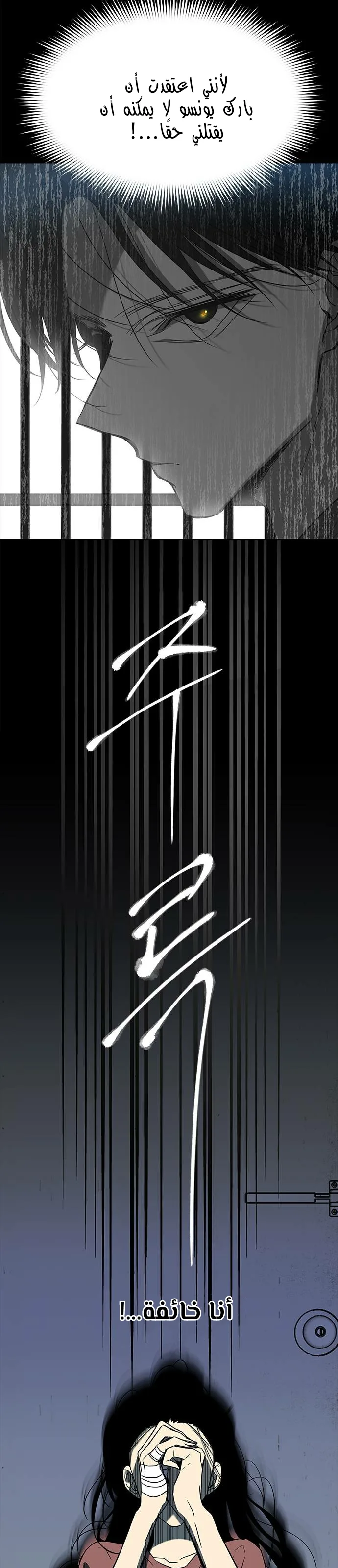 الصفحة 24