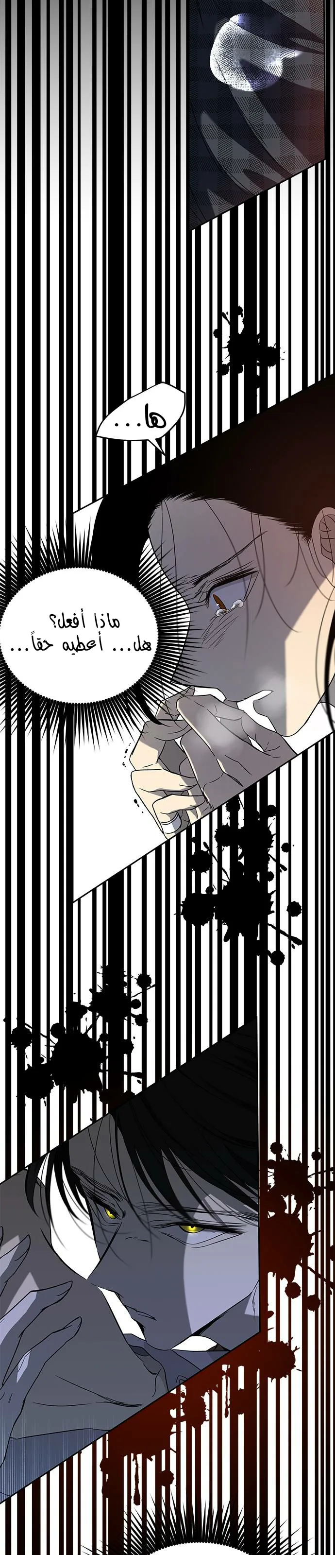 الصفحة 42