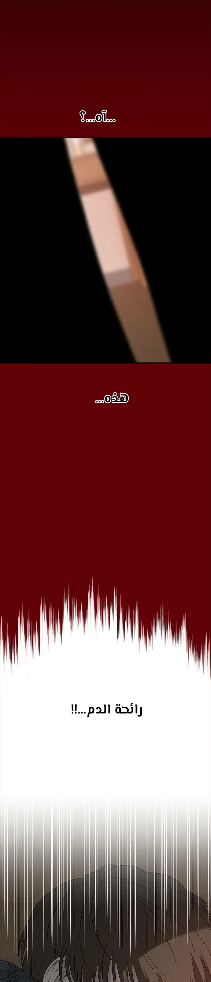 الصفحة 47