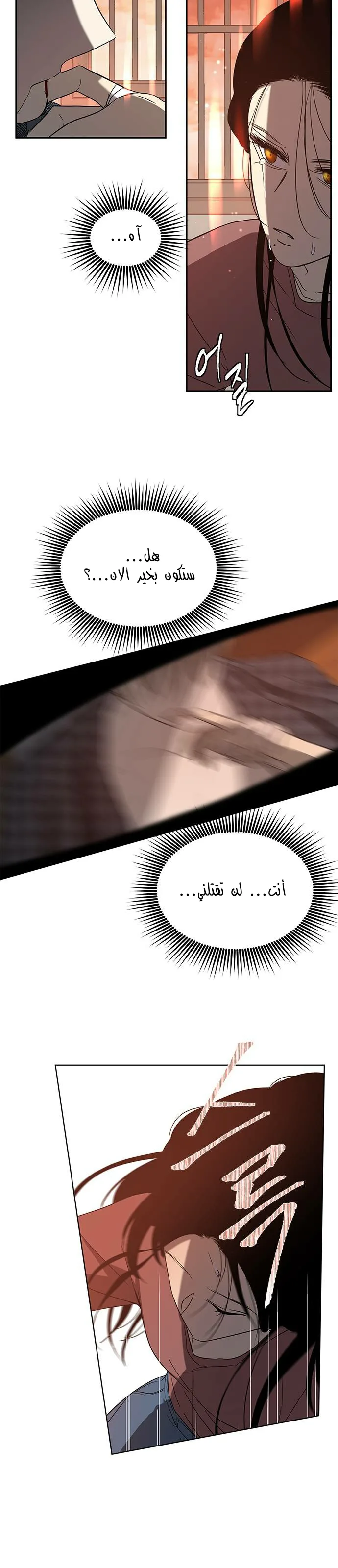الصفحة 51