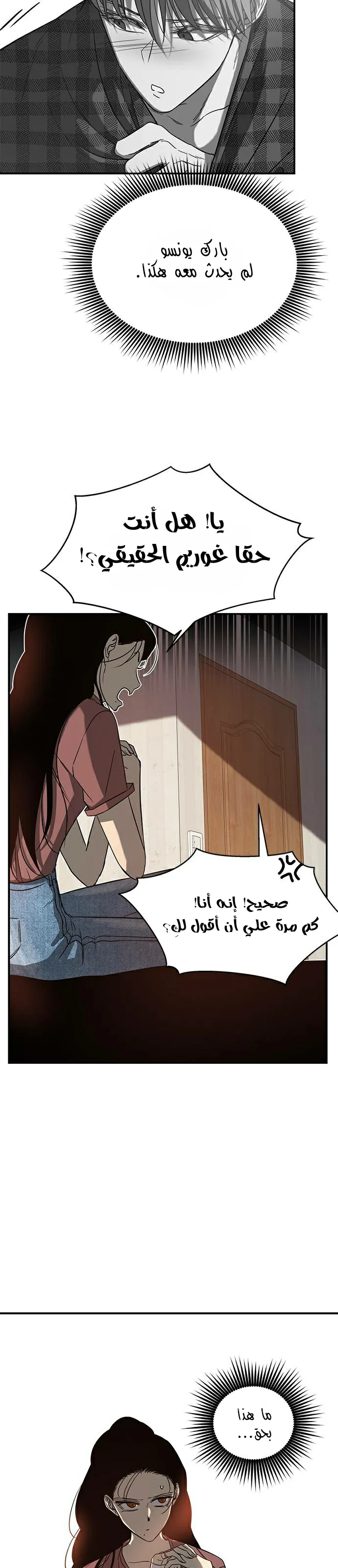 الصفحة 13
