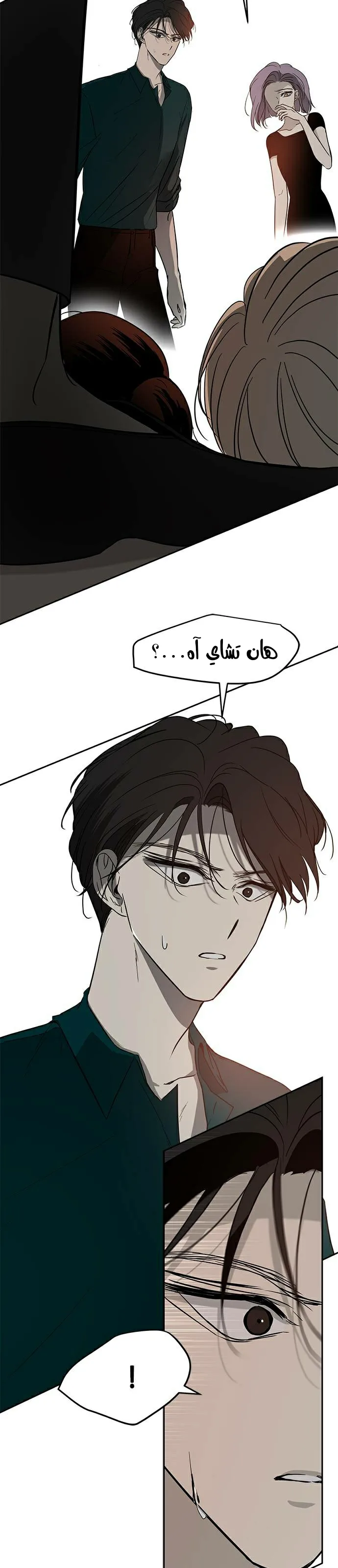 الصفحة 29