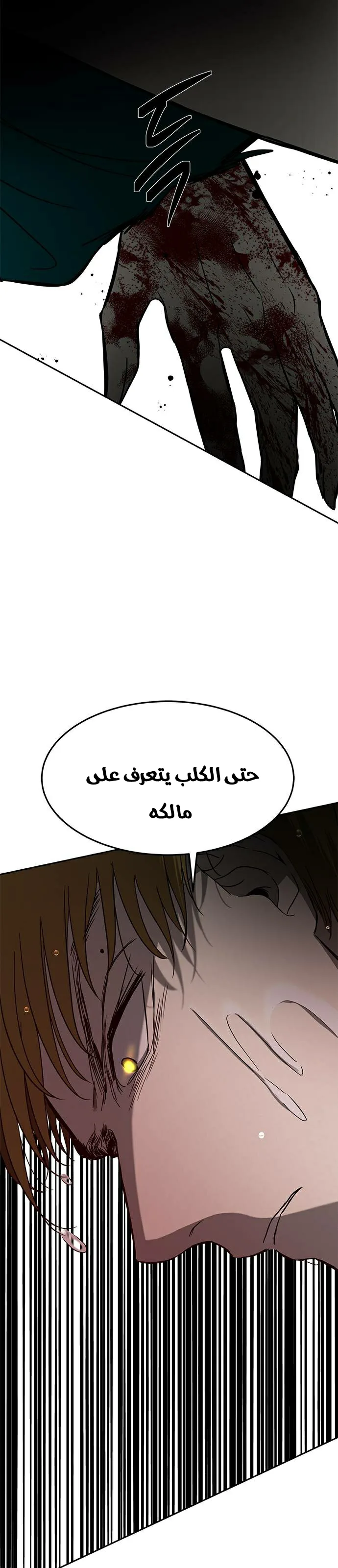 الصفحة 27
