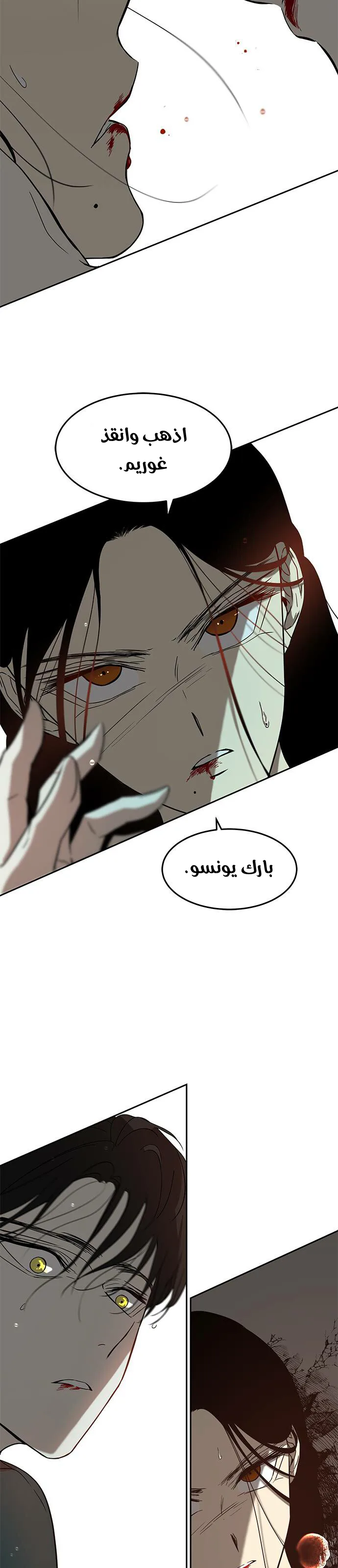 الصفحة 17