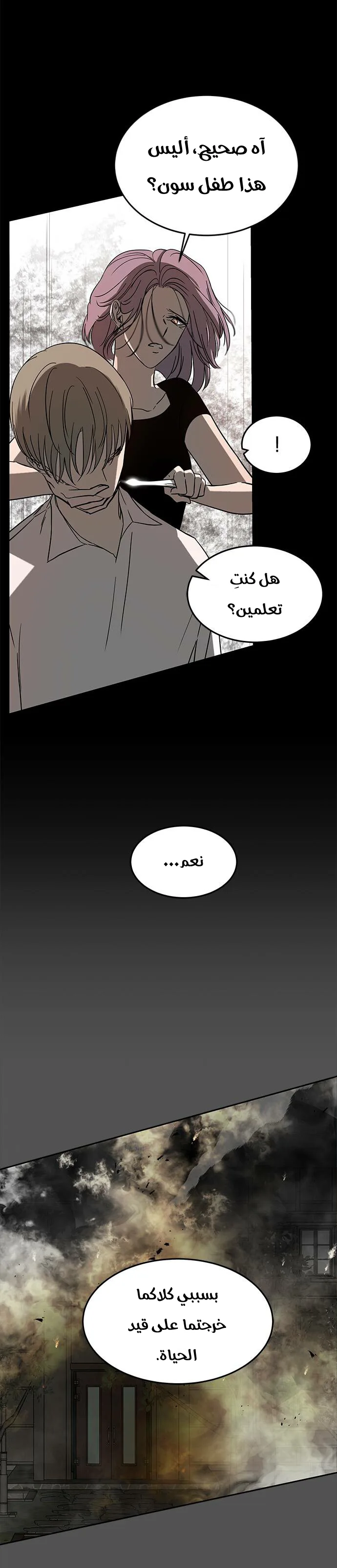 الصفحة 27