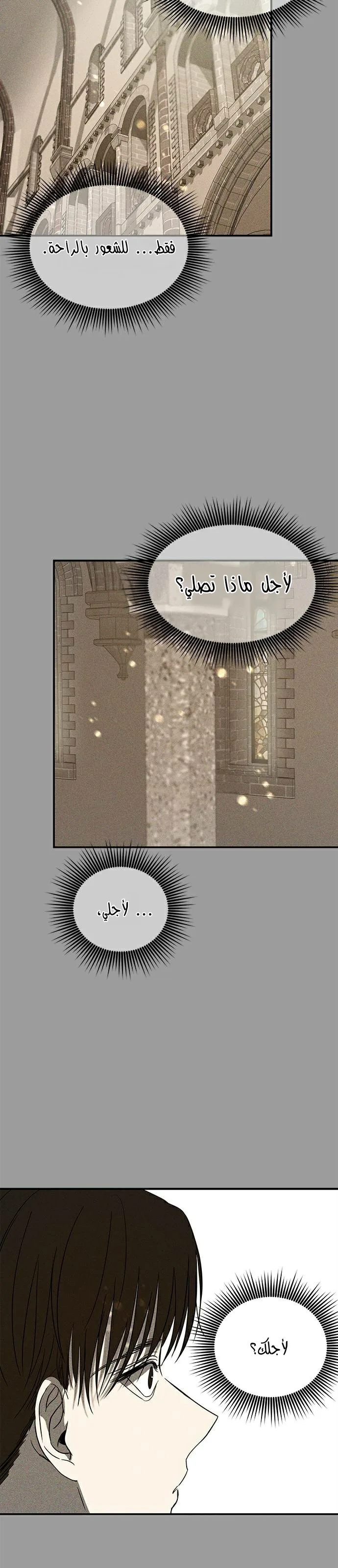 الصفحة 29