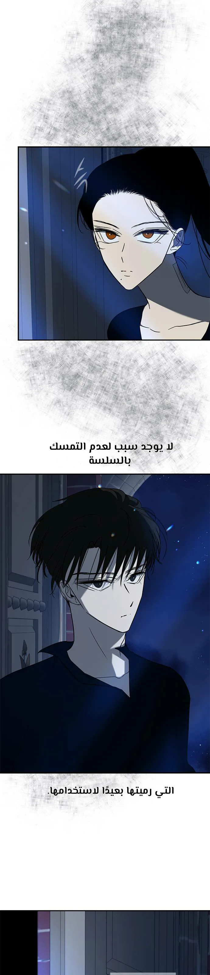 الصفحة 43
