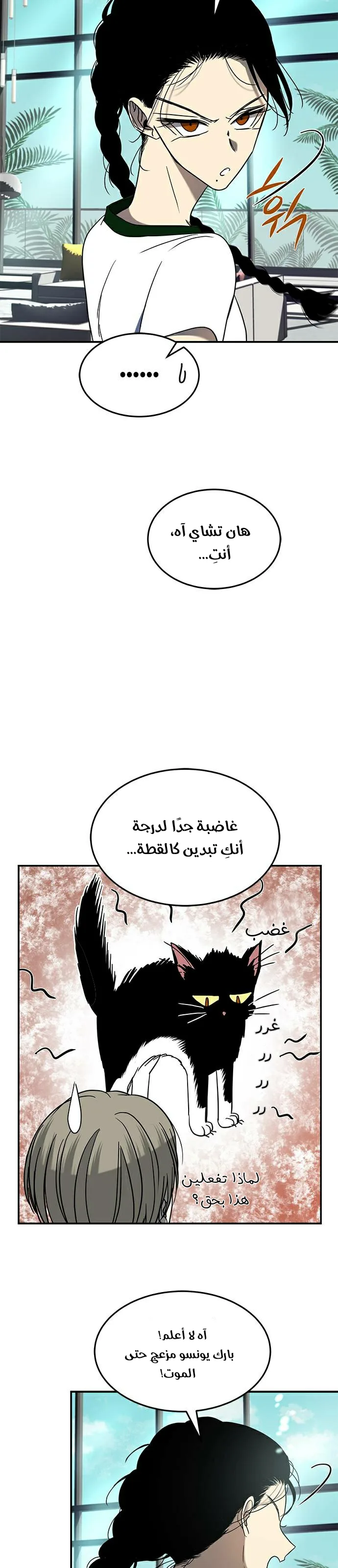 الصفحة 11