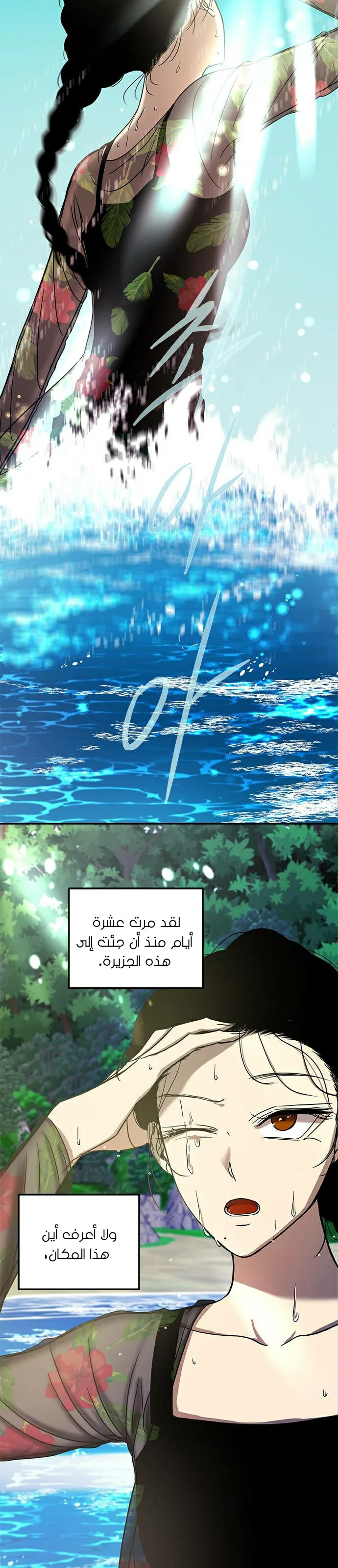 الصفحة 14