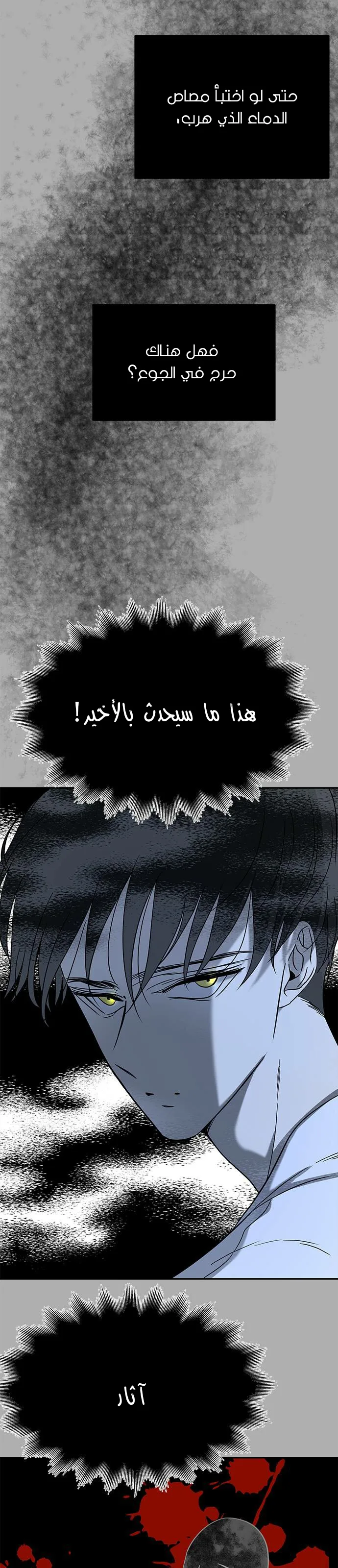 الصفحة 21