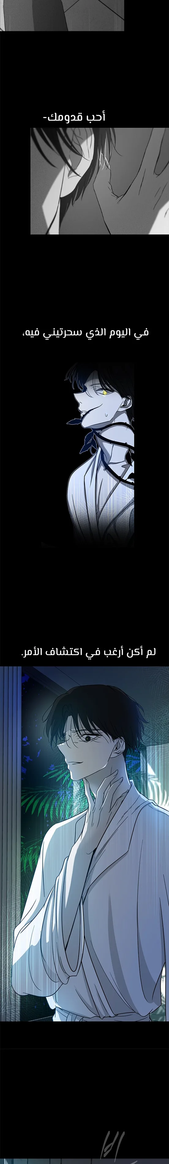 الصفحة 22