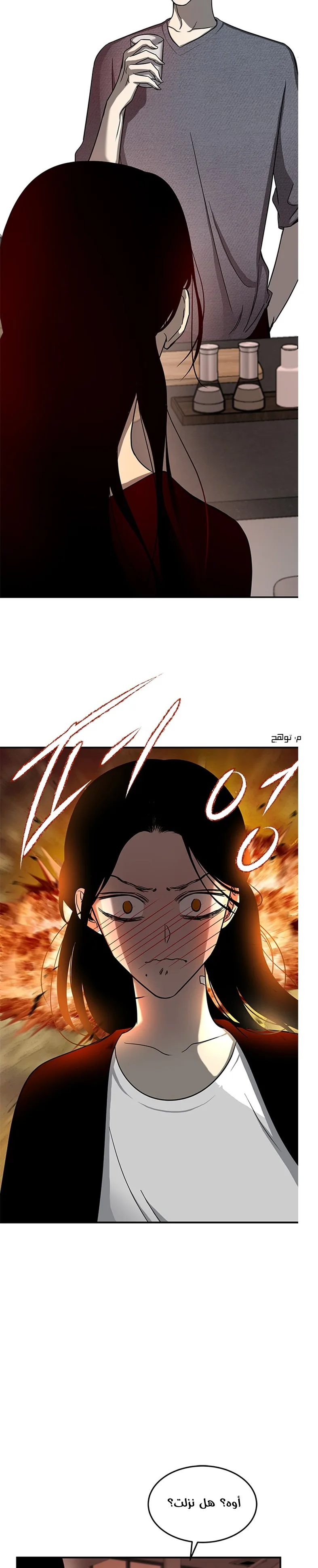 الصفحة 17