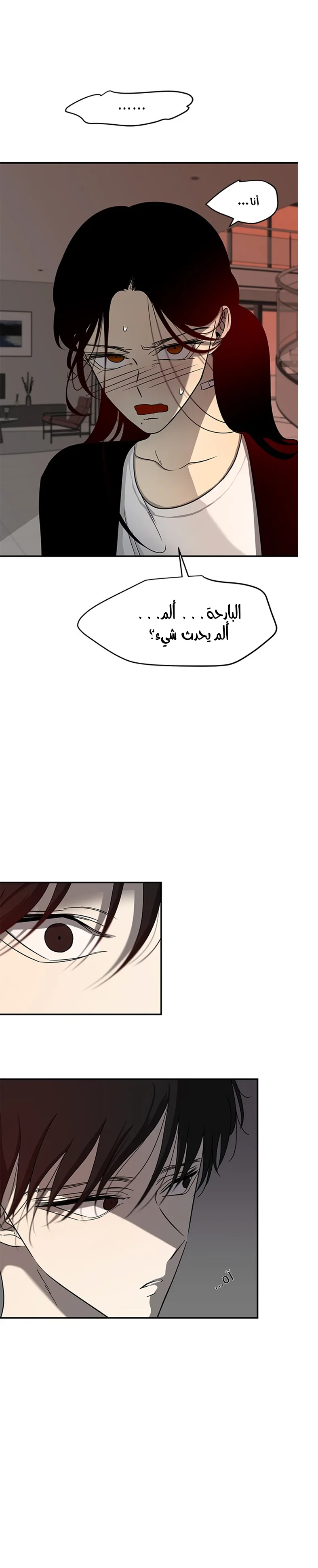 الصفحة 20
