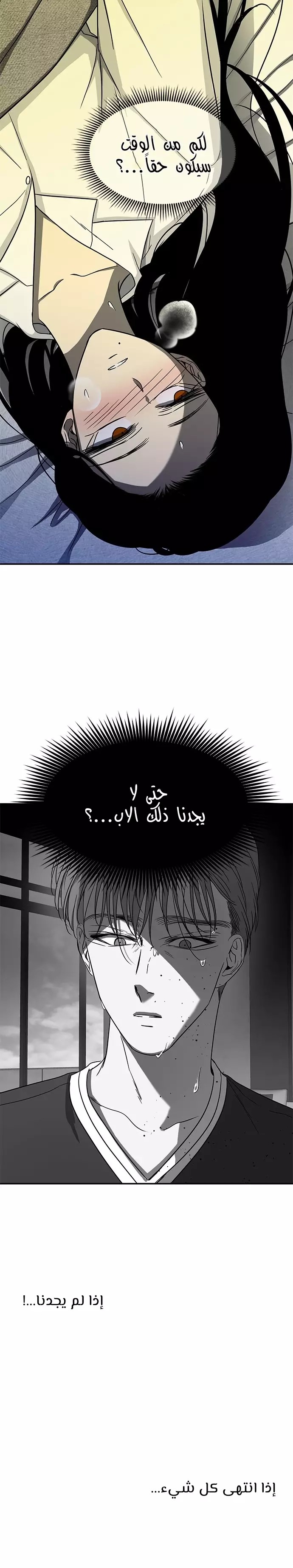 الصفحة 12