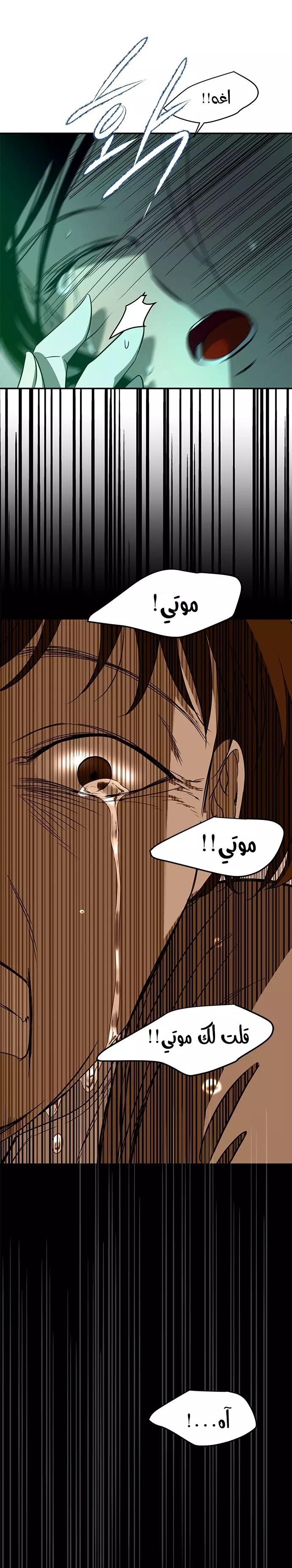الصفحة 26