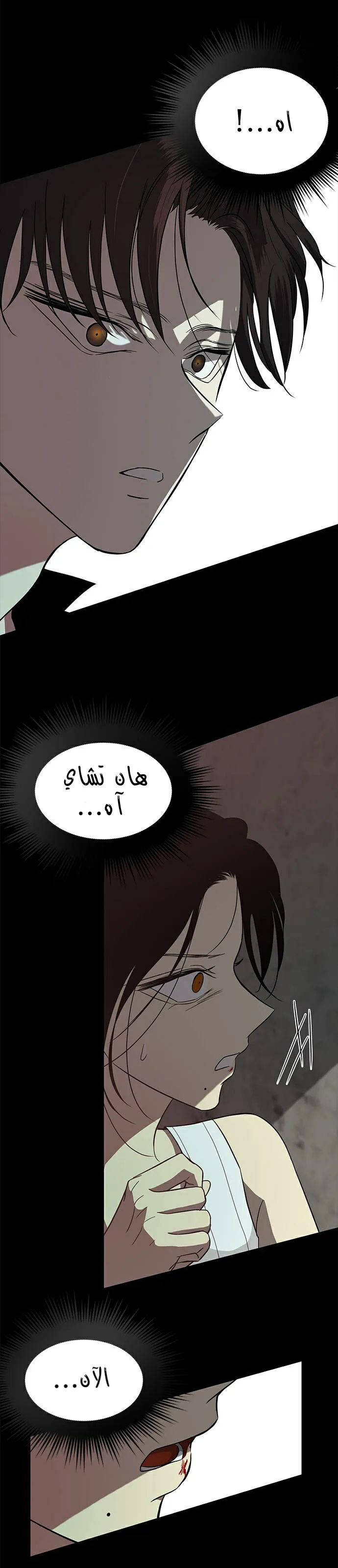 الصفحة 35
