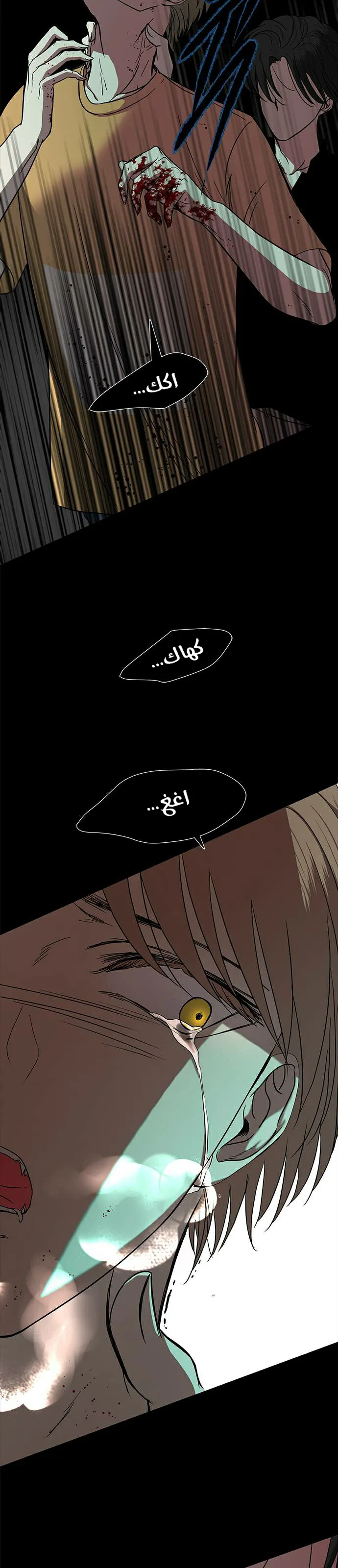 الصفحة 40