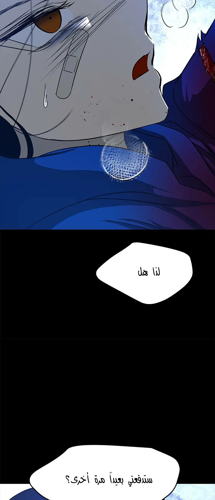 الصفحة 22
