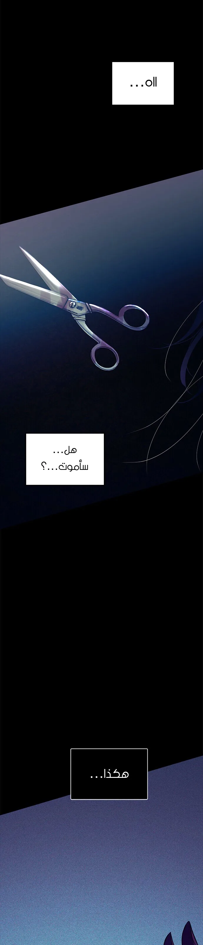 الصفحة 20