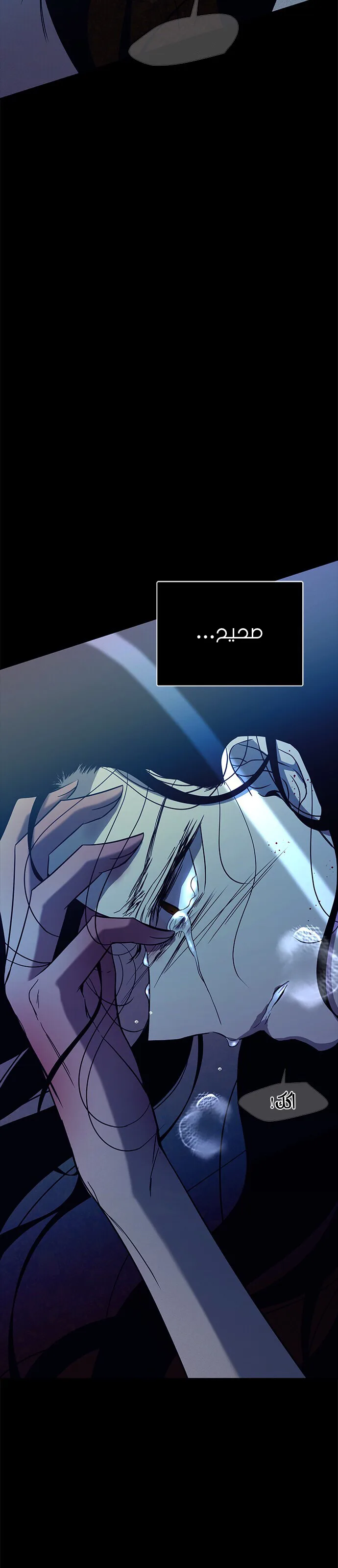 الصفحة 24