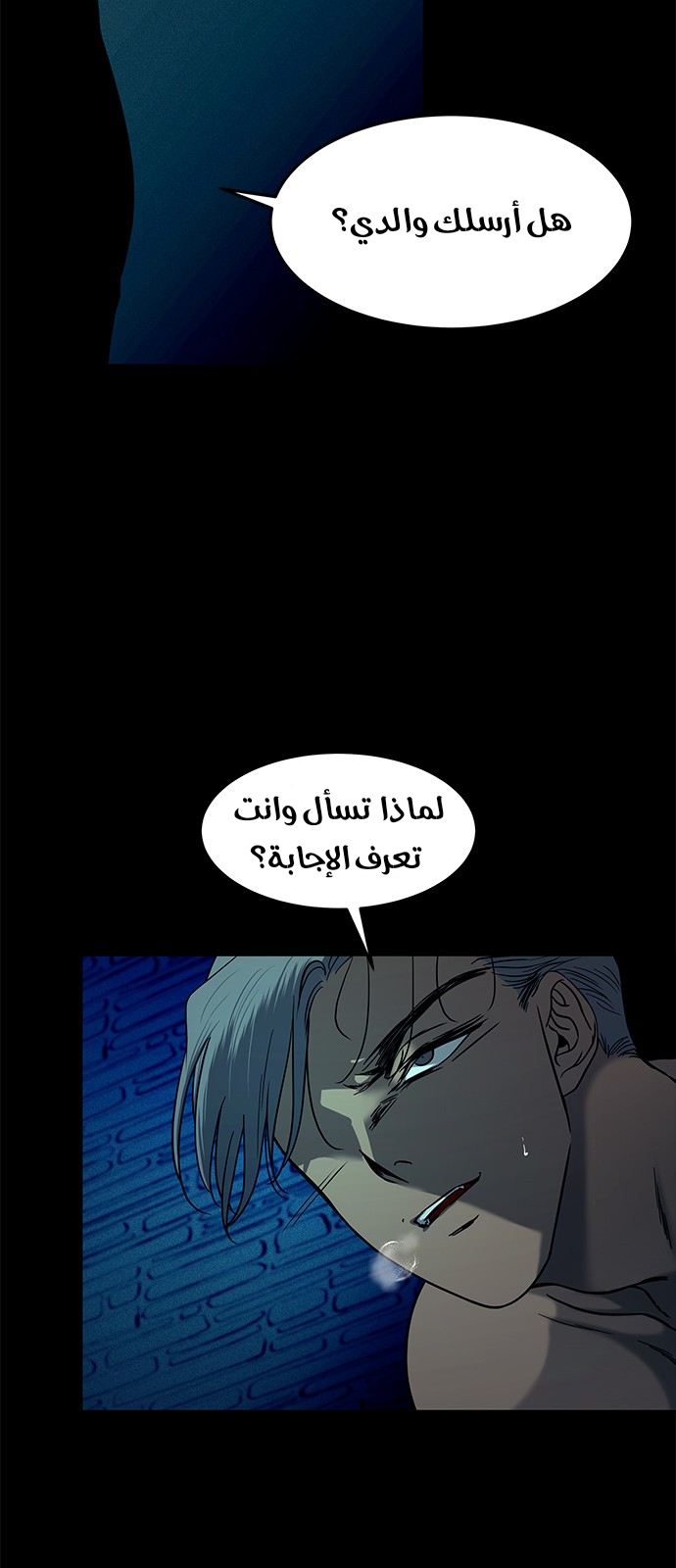 الصفحة 13